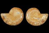 3.4" Cut & Polished Agatized Ammonite Fossil (Pair)- Jurassic - #131623-1